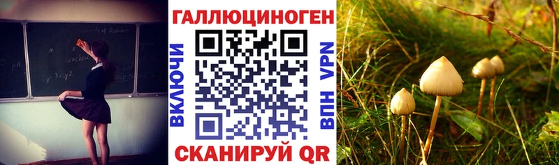 Псилоцибиновые грибы ЛСД  Новоалександровск 